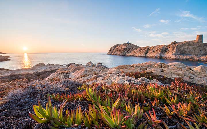 Scalo Ile Rousse